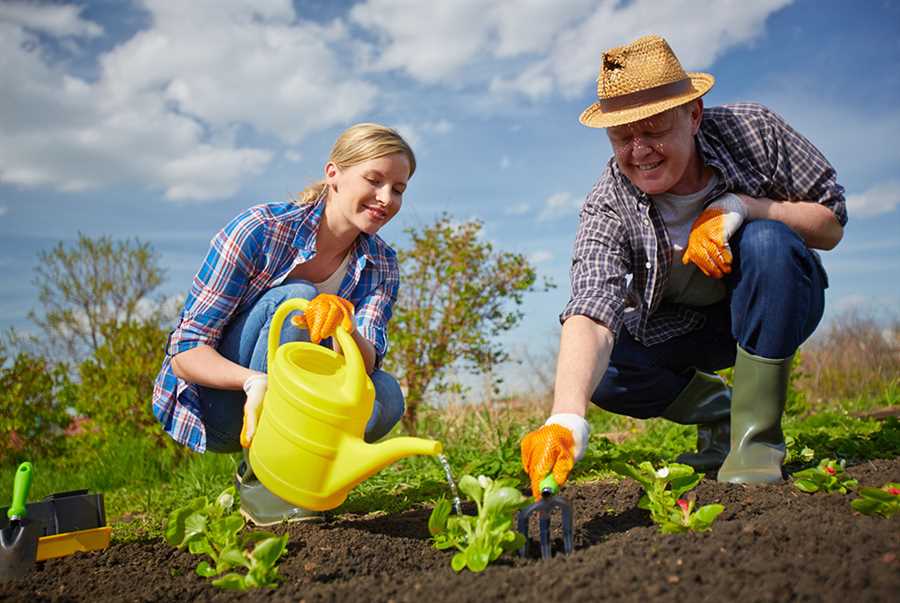 Основные принципы подготовки почвы для садоводства и огородничества