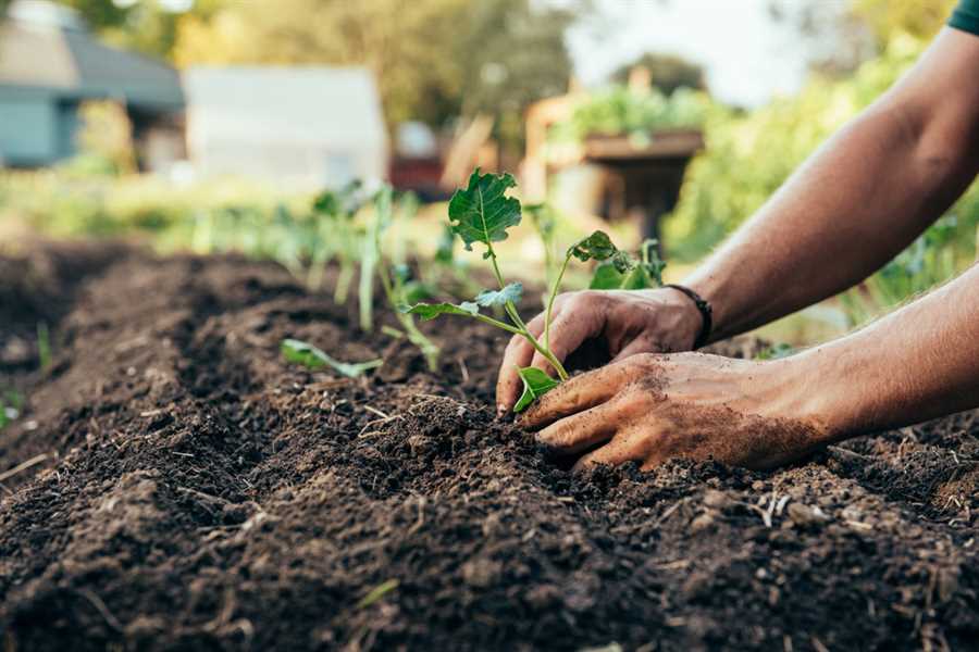 Экологическое садоводство: как вырастить урожай без химии!