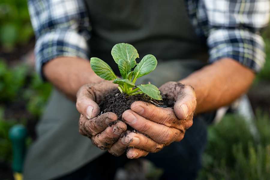 Экологичное огородничество: преимущества органического земледелия!