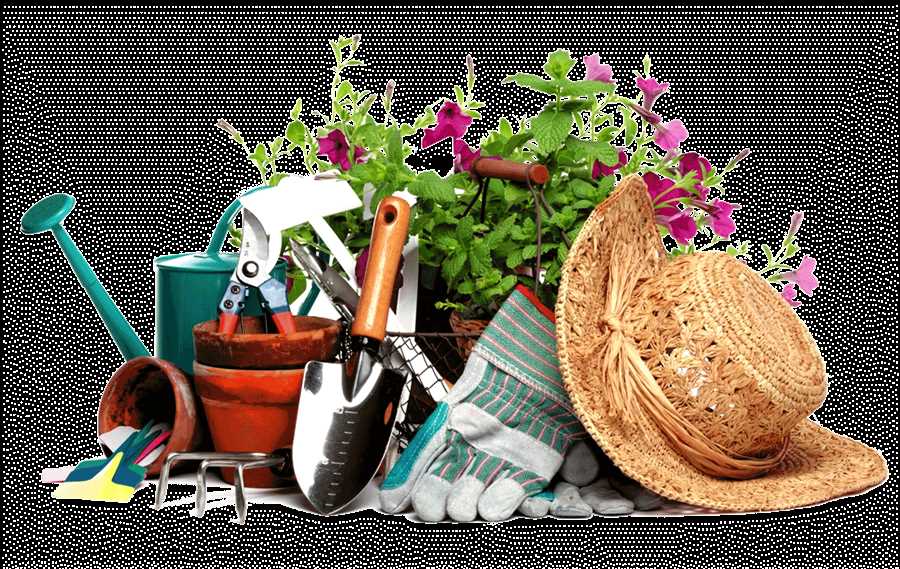 Сантехника для сада: какие инструменты помогут справиться с поливом и орошением