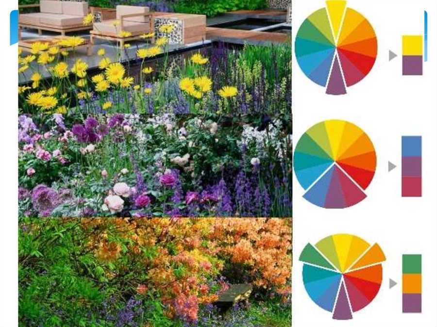 Игра цветов: создание гармоничных цветовых комбинаций
