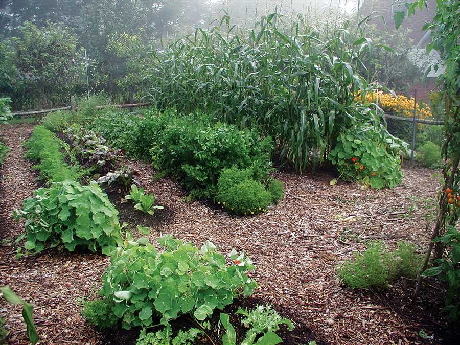 Полезные рекомендации для успешного выращивания растений без химических добавок