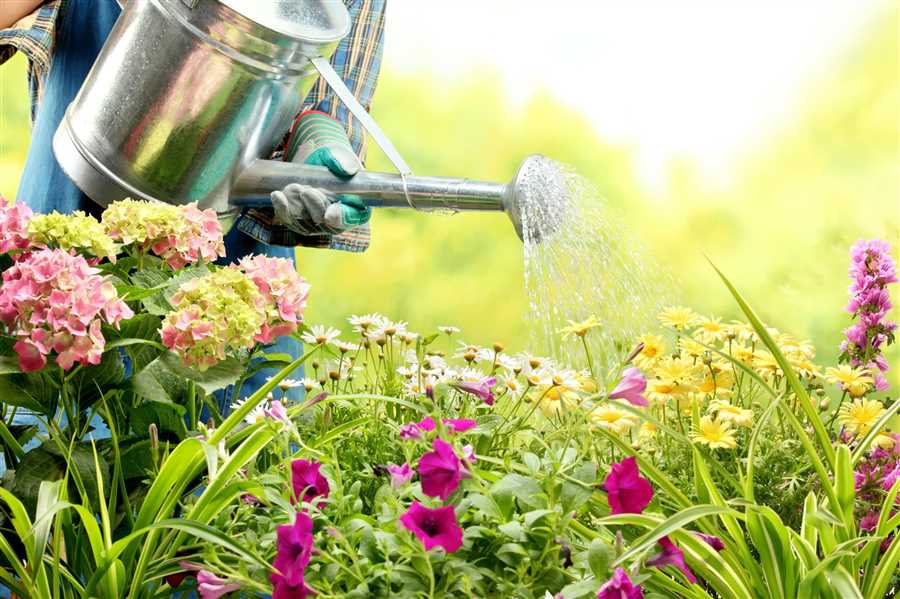 Опытные садоводы делятся секретами процесса полива