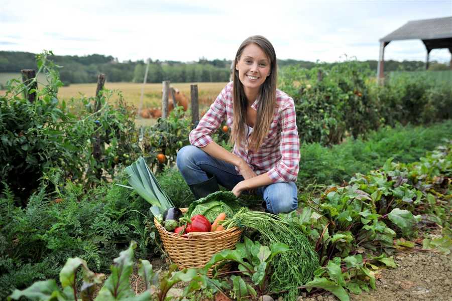 От саженцев до урожая: гид по успешному выращиванию овощей