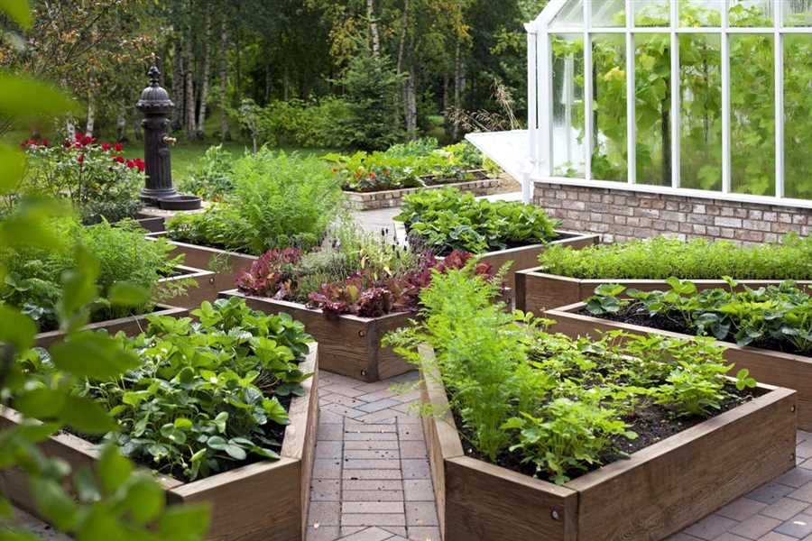 Практические советы по использованию льнянки в ландшафтном дизайне сада
