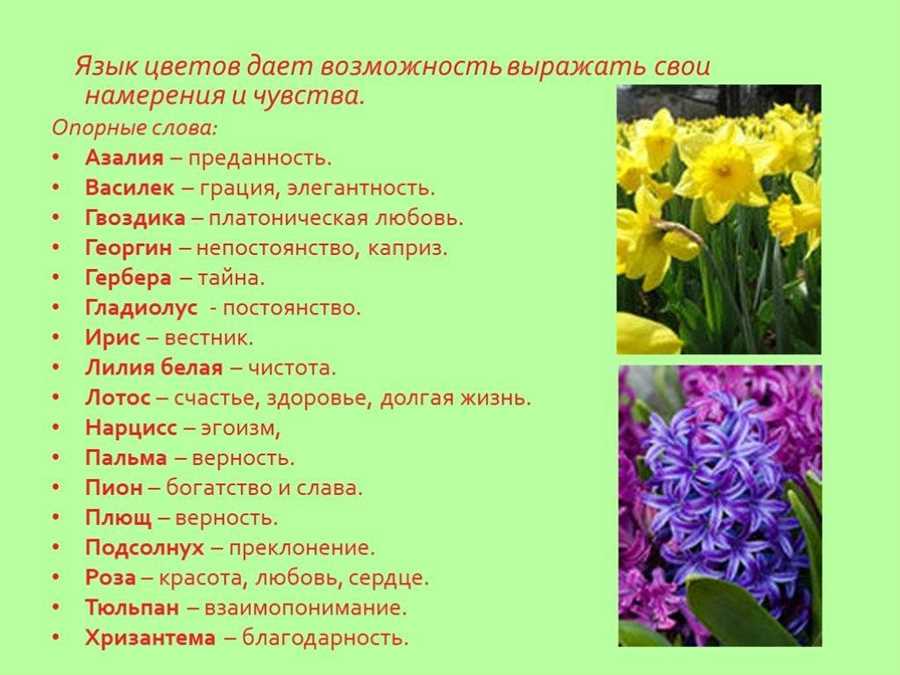 Символическое значение цветов и их роль в садоводстве