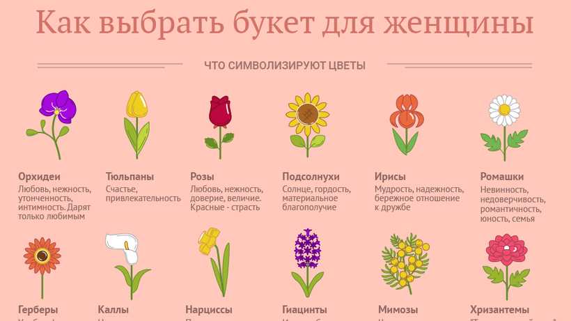 Цветовые ассоциации: что символизируют цветы