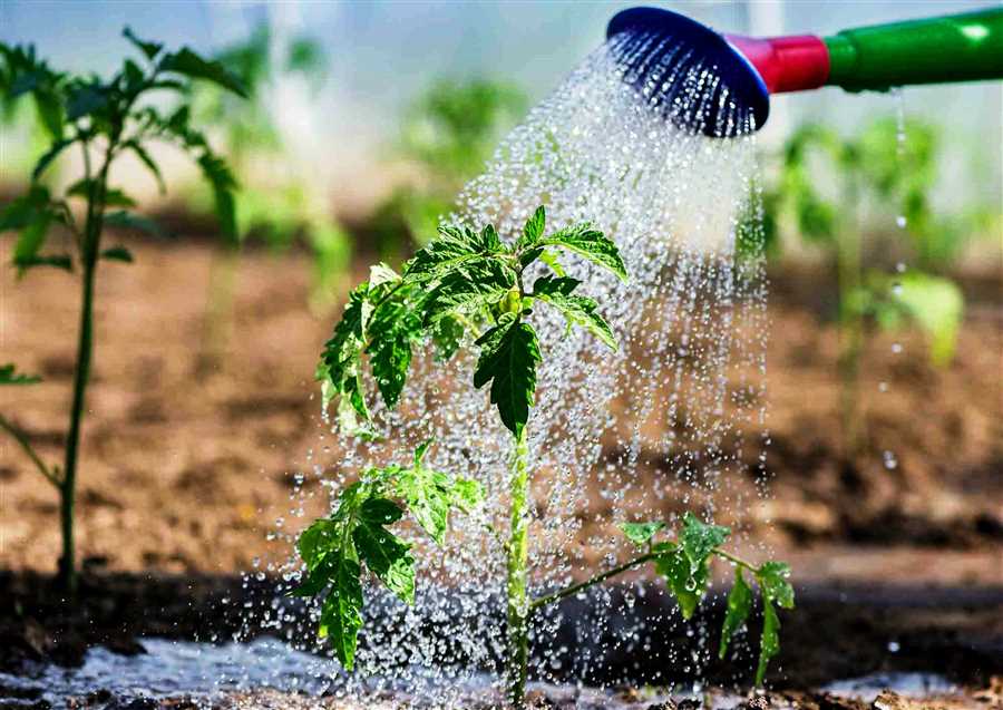 Преимущества и недостатки различных систем полива растений
