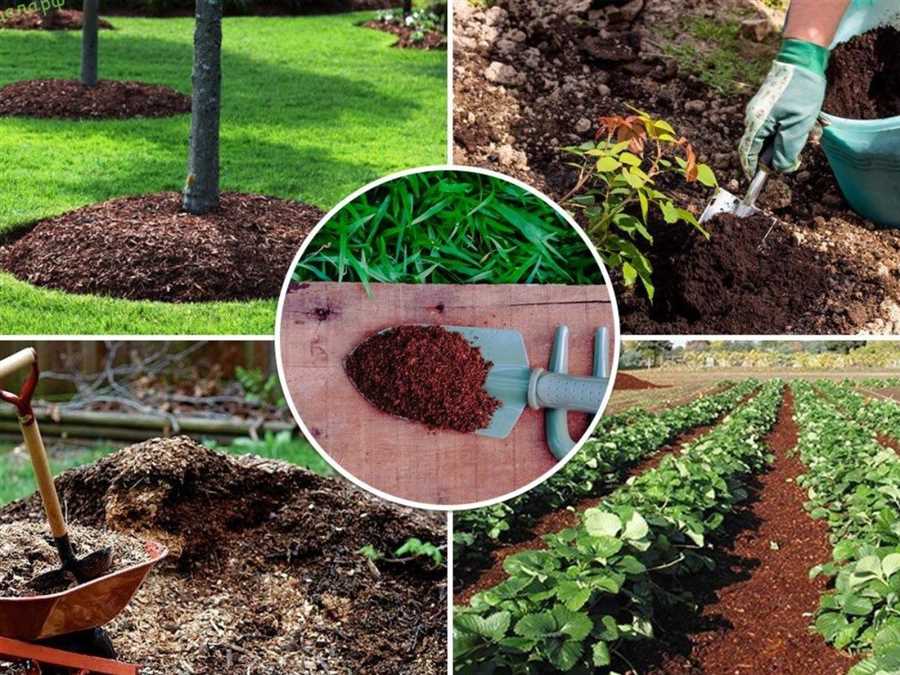 Важность компоста для повышения плодородия почвы: основные преимущества!