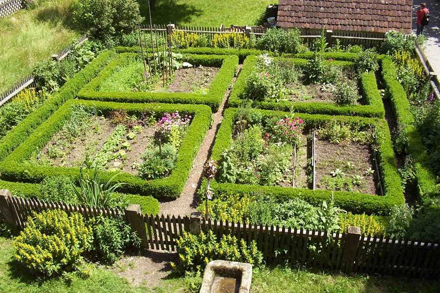 Как выбрать место для экологически разнообразного сада или огорода?