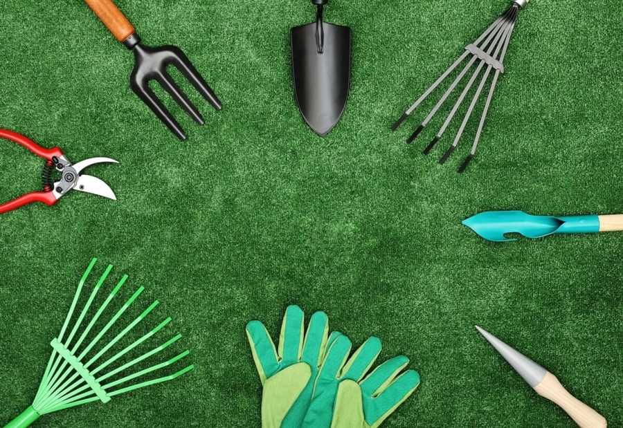 Основные садовые инструменты: от землекопов до граблей