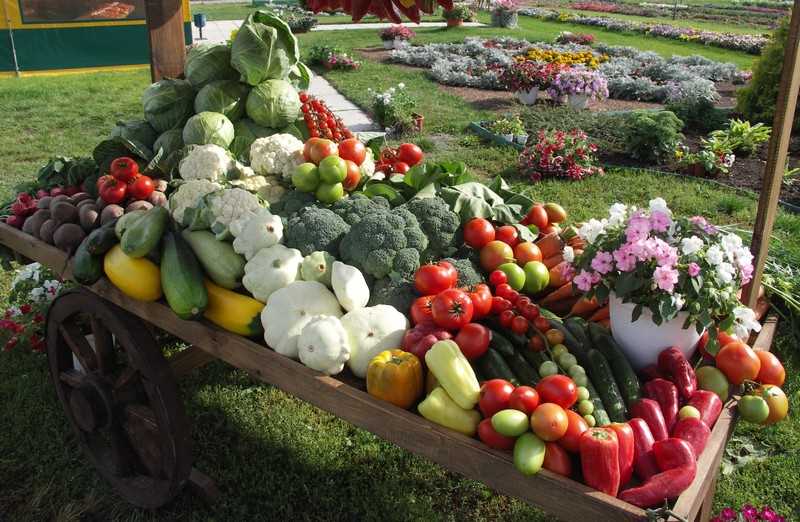 Садовая находка: нетрадиционные способы использования фруктового урожая!