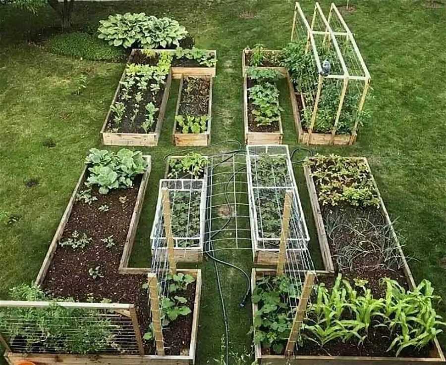 Преимущества самоуправляемых огородов