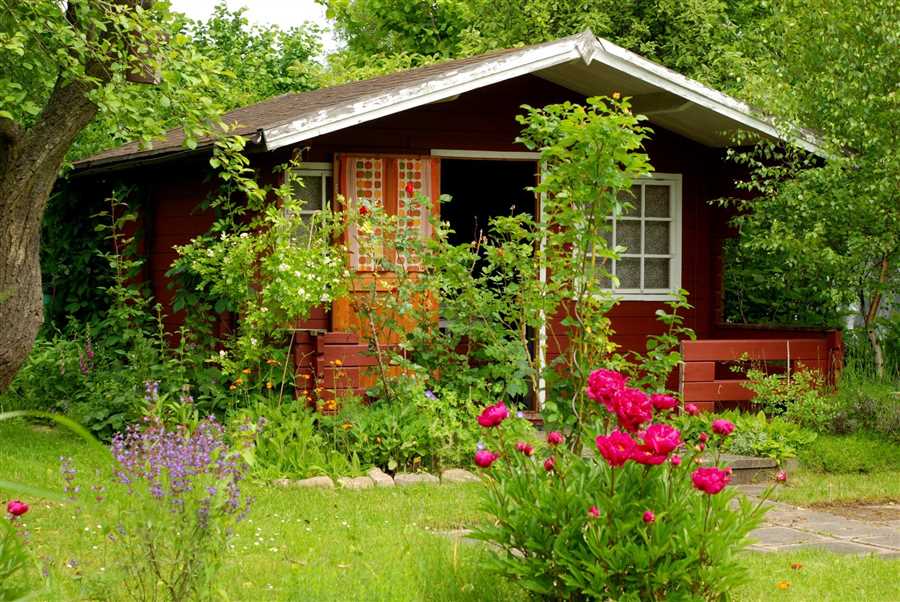 Садовое счастье: как преобразить вашу жизнь на садовом участке?