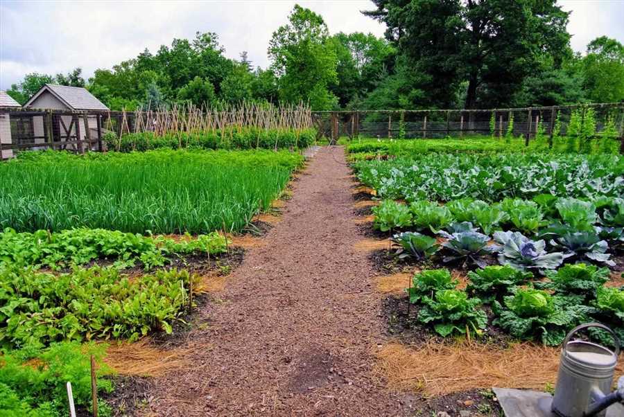 Секреты дачного хозяйства: Как экономно и удобно вести садоводство