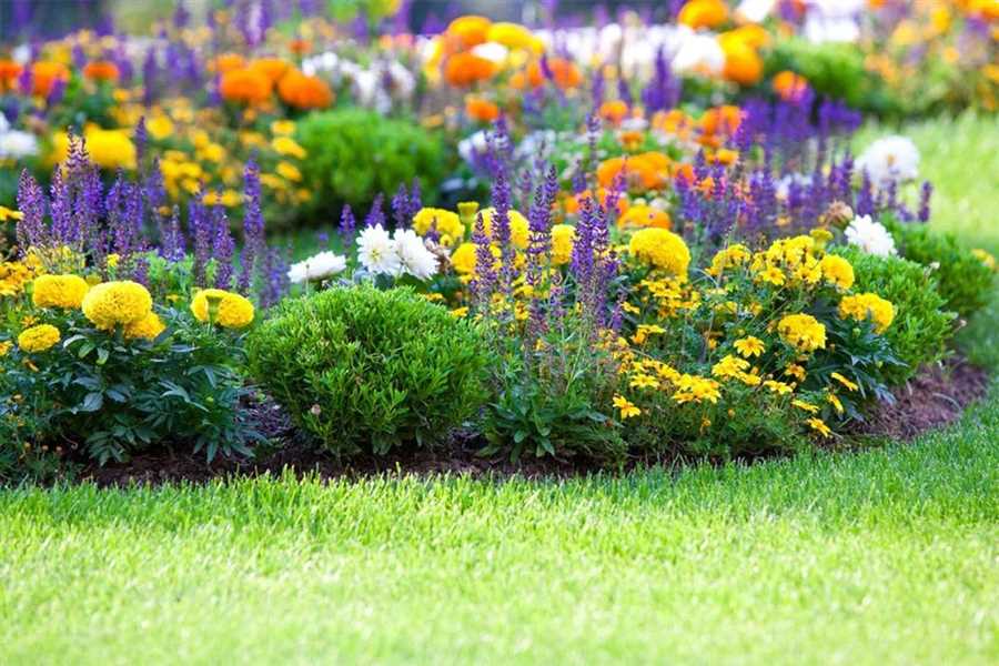 Ароматный сад на даче: как создать и наслаждаться цветовым богатством