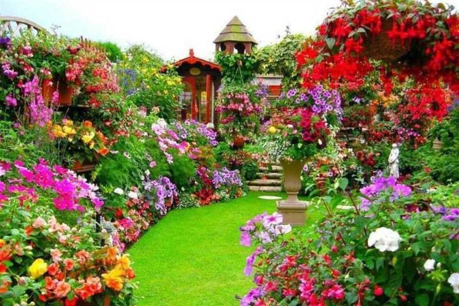 Сила цветов: создаем ароматный сад на даче!