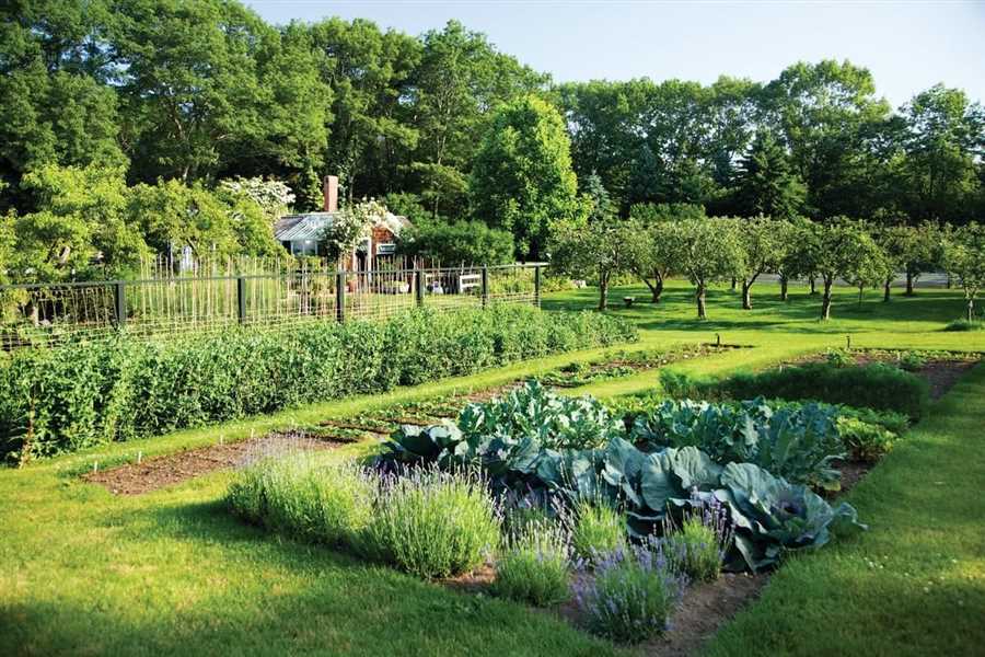 Техники современного органического садоводства для повышения урожайности