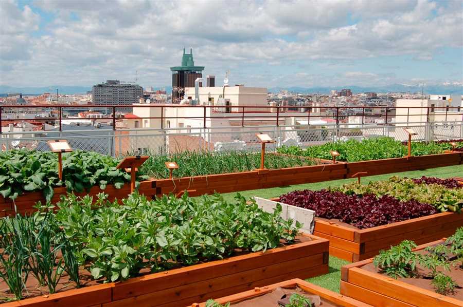 Террасное хозяйство: мини-огороды в городской среде