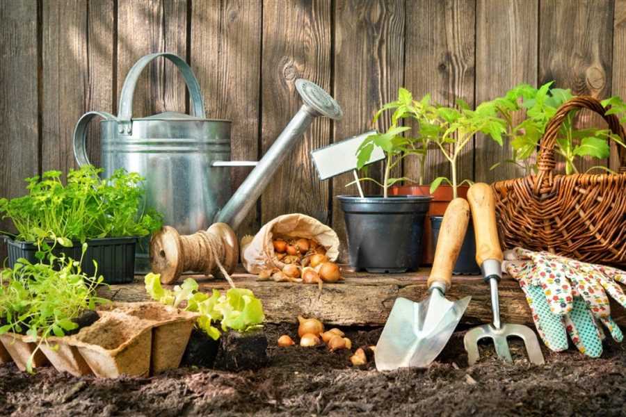 Полезные советы для садовода-любителя: как сохранить урожай на зиму