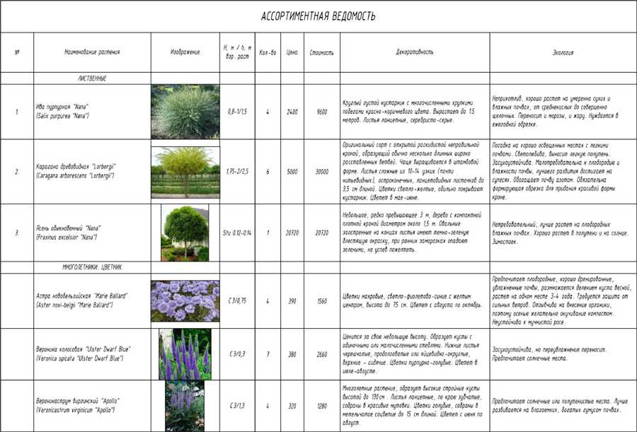 Уроки садоводства: основы выращивания кустарников и древесных растений