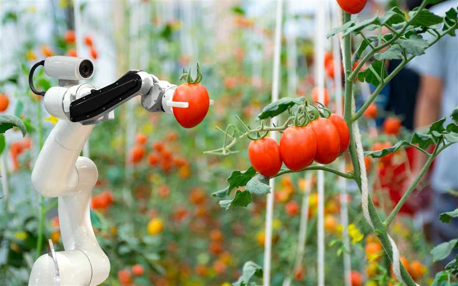 Роботы в садоводстве: новый этап в развитии процесса выращивания