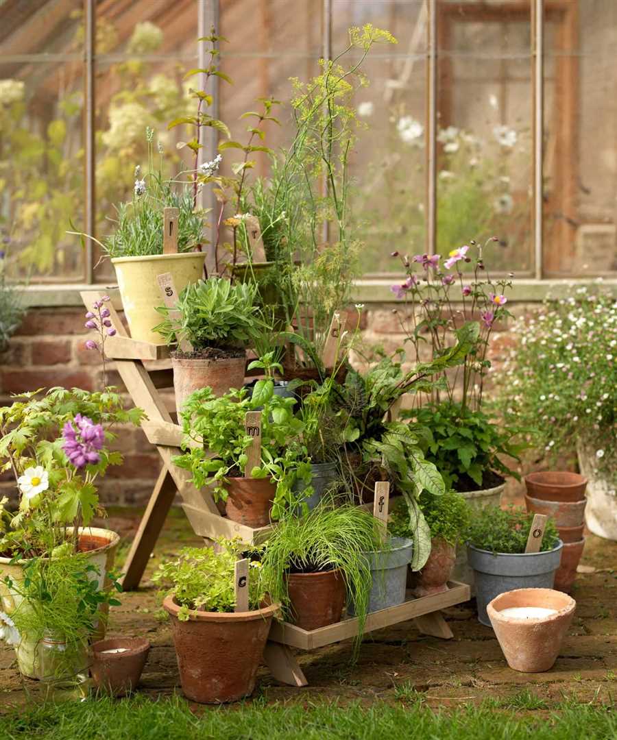 Урожай на балконе: как создать мини-сад в городских условиях ??