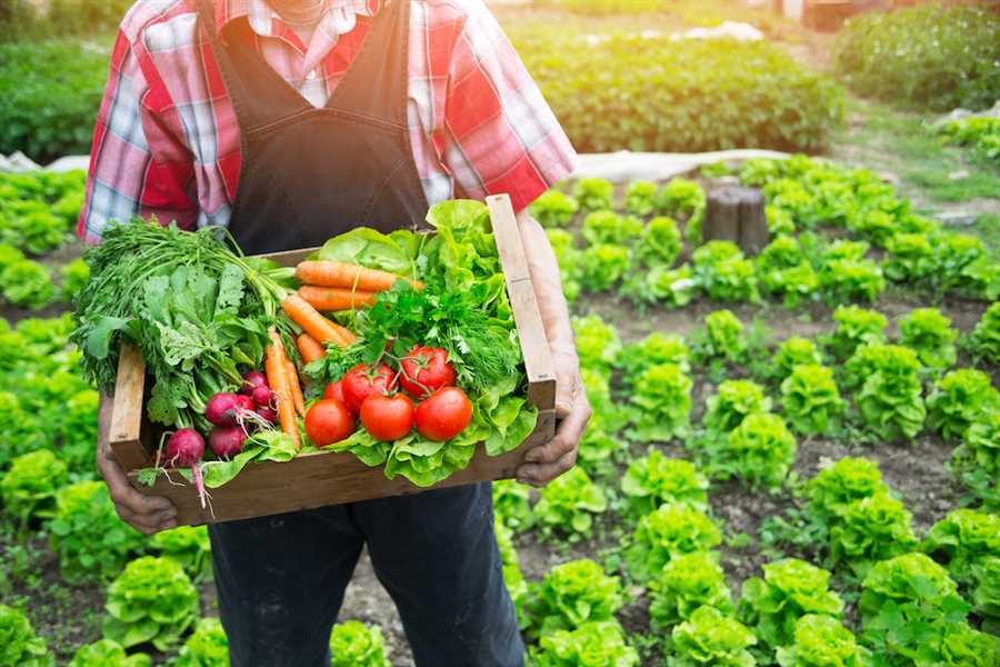 Как выбрать оптимальные сорта овощей для конкретных условий