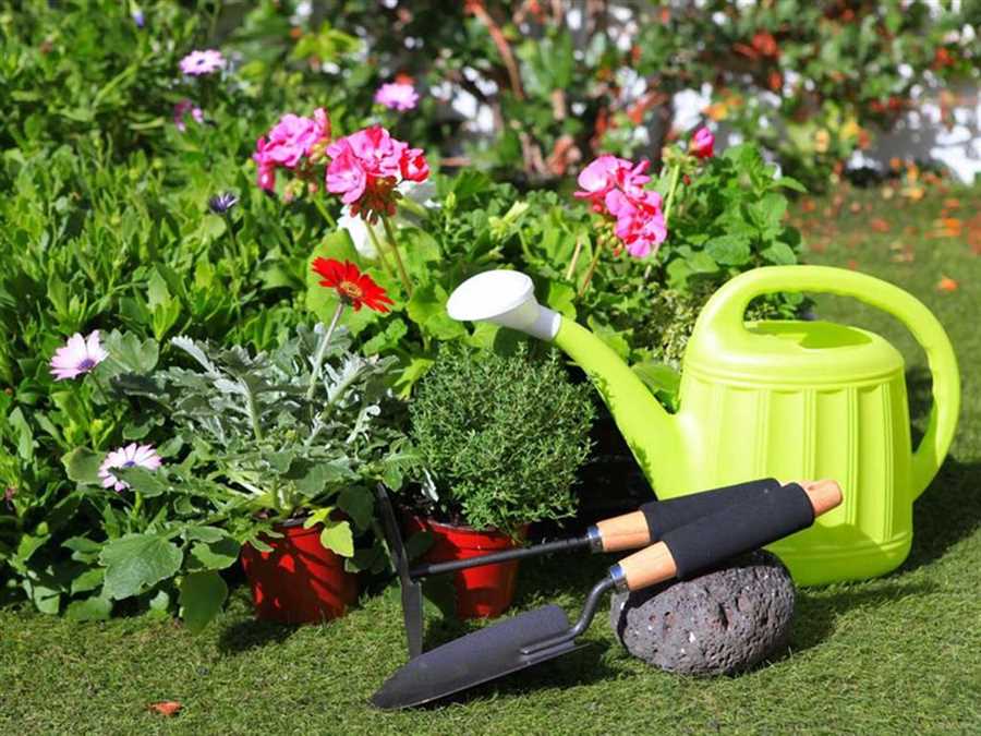 Уход за садом весной: полезные советы для успешного начала сезона